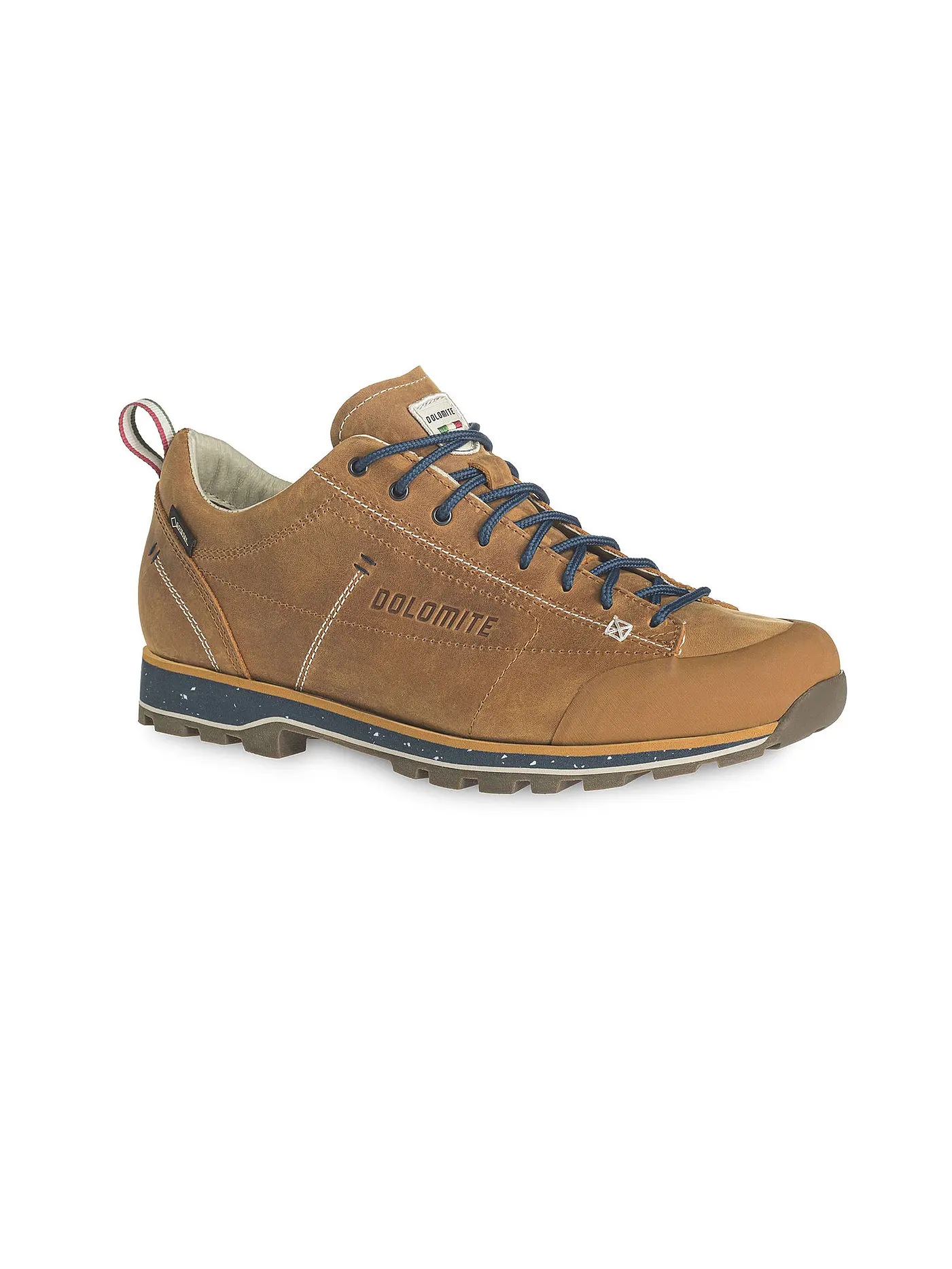 DOLOMITE | Herren Freizeitschuhe Dol 54 Low FG Evo GTX | 